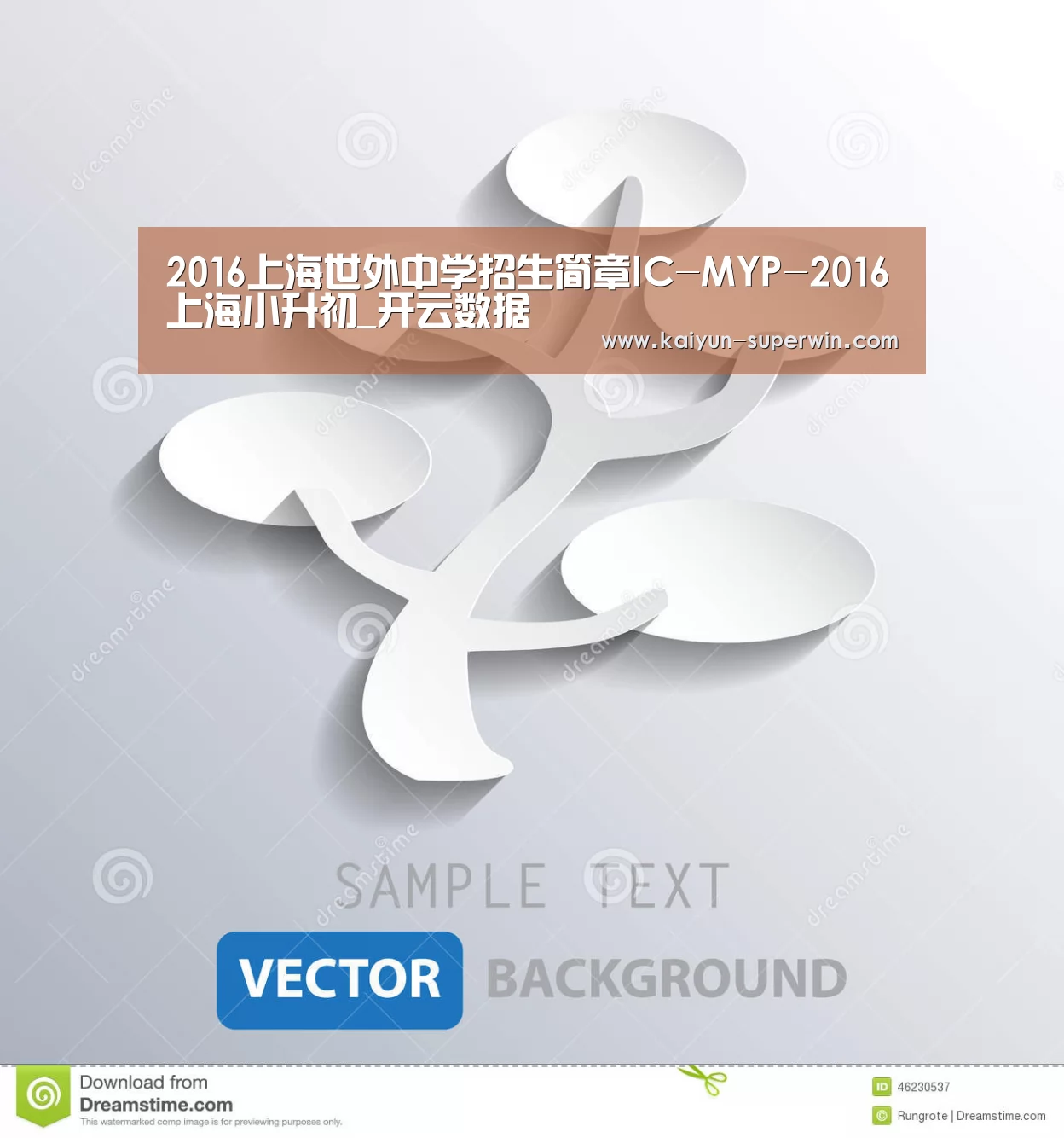 开云体验