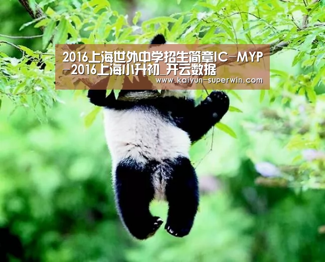开云快讯
