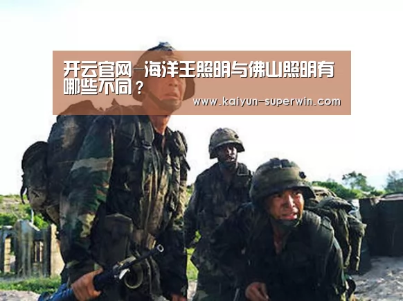 开云体验