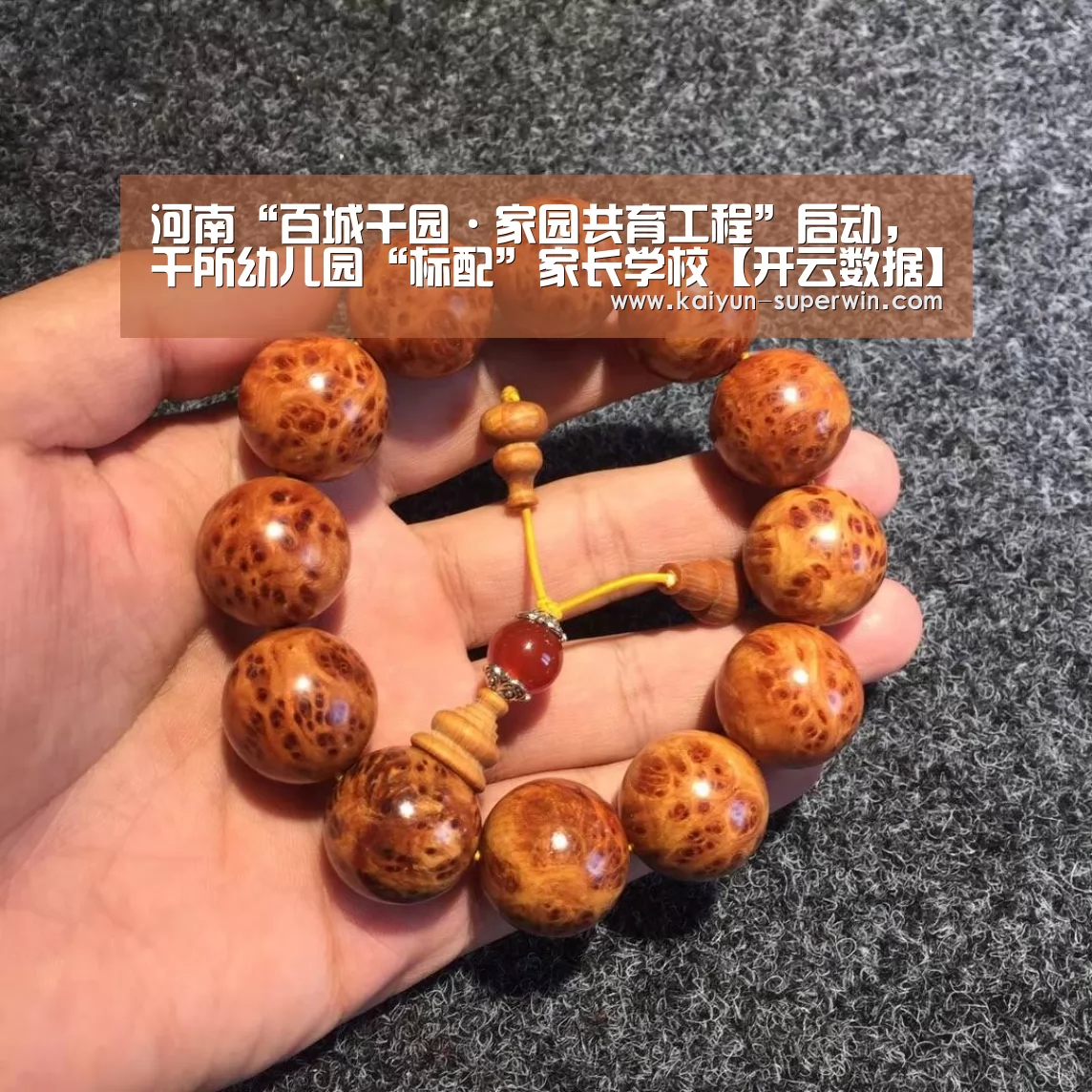 河南“百城千园·家园共育工程”启动,千所幼儿园“标配”家长学校【开云数据】(图1) 开云数据