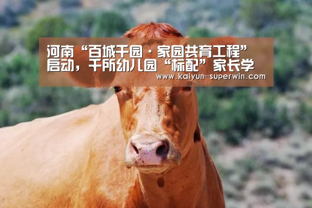 河南“百城千园·家园共育工程”启动,千所幼儿园“标配”家长学校【开云数据】(图4) 开云体验