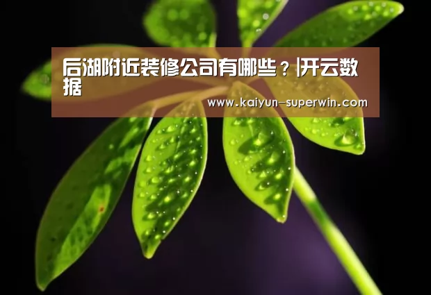 后湖附近装修公司有哪些?|开云数据(图2) 开云官网