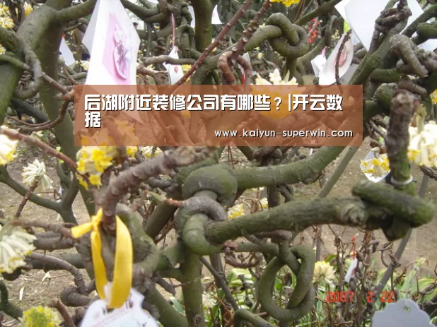 后湖附近装修公司有哪些?|开云数据(图4) 开云快讯