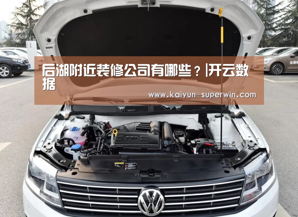 后湖附近装修公司有哪些?|开云数据(图1) 开云体验