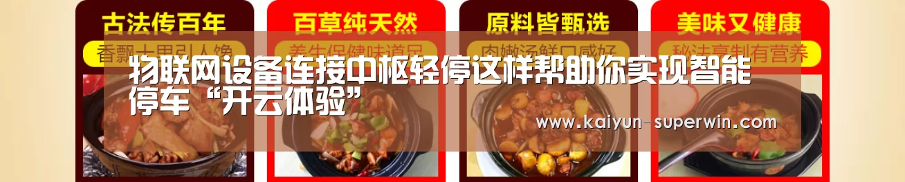 物联网设备连接中枢轻停这样帮助你实现智能停车“开云体验”(图1) 开云快讯