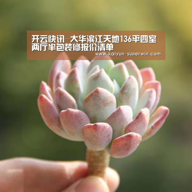 开云快讯-大华滨江天地136平四室两厅半包装修报价清单(图2) 开云数据