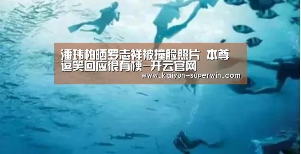 开云快讯