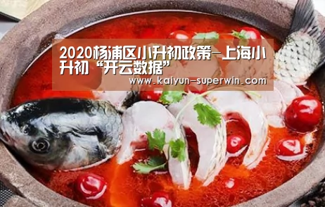 2020杨浦区小升初政策-上海小升初“开云数据”(图1) 开云官网