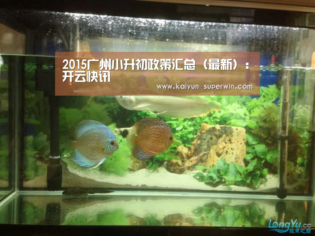 开云官网