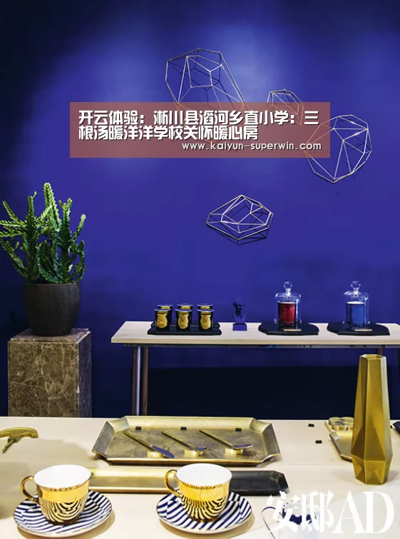 开云体验:淅川县滔河乡直小学:三根汤暖洋洋学校关怀暖心房(图1) 开云体验