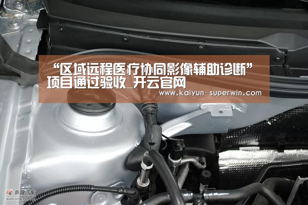 “区域远程医疗协同影像辅助诊断”项目通过验收_开云官网(图1) 开云体验