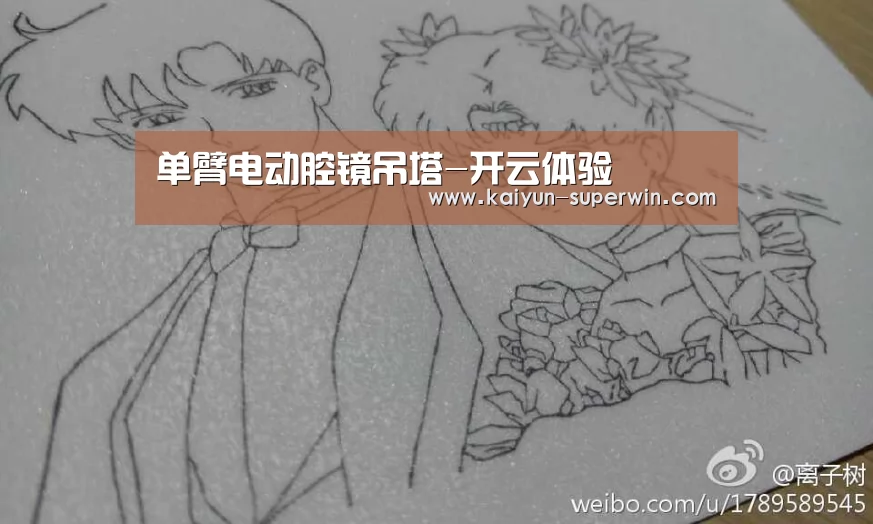 单臂电动腔镜吊塔-开云体验(图1) 开云数据