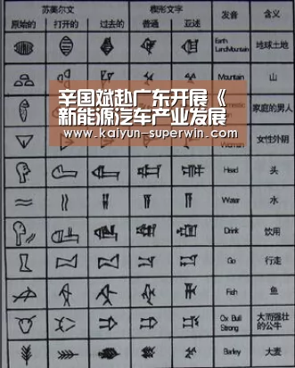 辛国斌赴广东开展《新能源汽车产业发展规划(2021-2035年)》编制调研:开云体验(图3) 开云官网